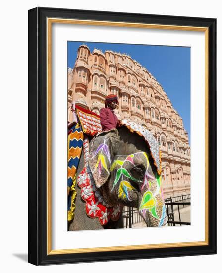 India, Rajasthan, Jaipur, Ceremonial Decorated Elephant Outside the Hawa Mahal, Palace of the Winds-Gavin Hellier-Framed Photographic Print