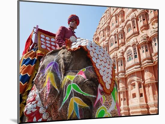 India, Rajasthan, Jaipur, Ceremonial Decorated Elephant Outside the Hawa Mahal, Palace of the Winds-Gavin Hellier-Mounted Photographic Print