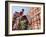 India, Rajasthan, Jaipur, Ceremonial Decorated Elephant Outside the Hawa Mahal, Palace of the Winds-Gavin Hellier-Framed Photographic Print