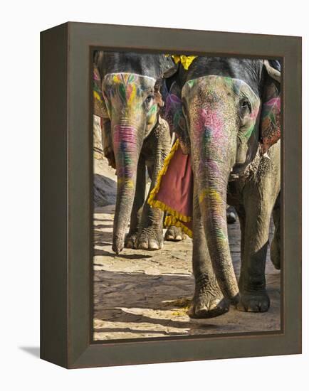 India, Rajasthan, Jaipur-Nigel Pavitt-Framed Premier Image Canvas