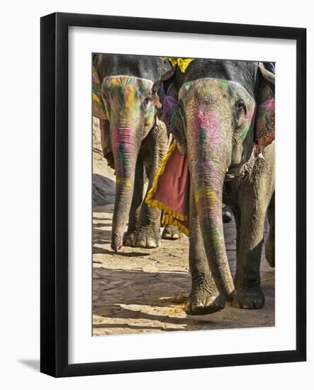 India, Rajasthan, Jaipur-Nigel Pavitt-Framed Photographic Print