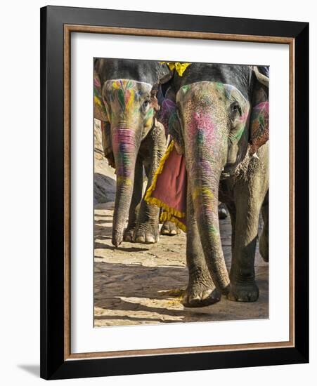 India, Rajasthan, Jaipur-Nigel Pavitt-Framed Photographic Print