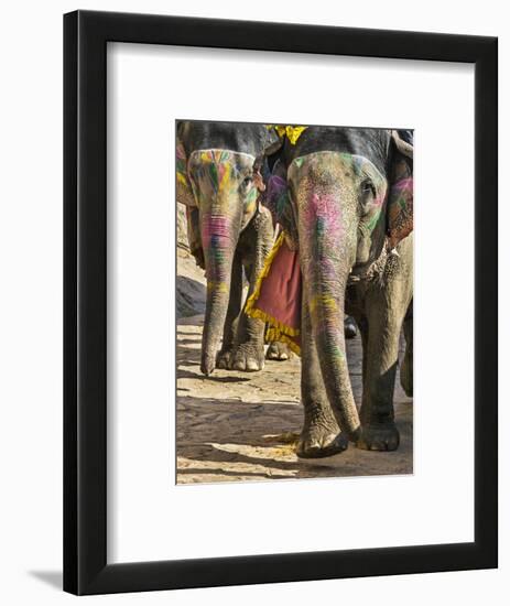 India, Rajasthan, Jaipur-Nigel Pavitt-Framed Photographic Print