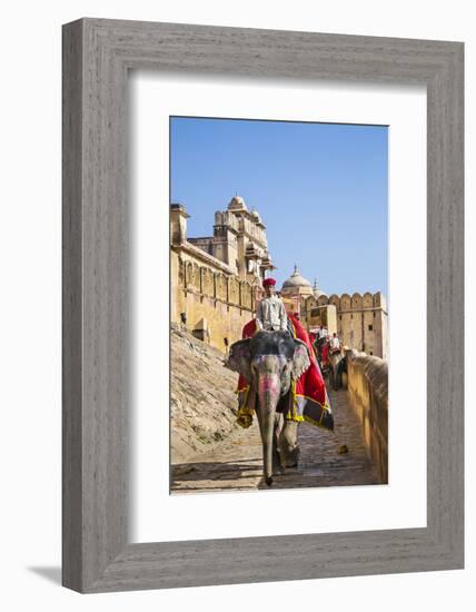 India, Rajasthan, Jaipur-Nigel Pavitt-Framed Photographic Print