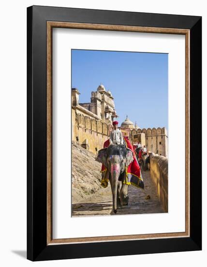 India, Rajasthan, Jaipur-Nigel Pavitt-Framed Photographic Print