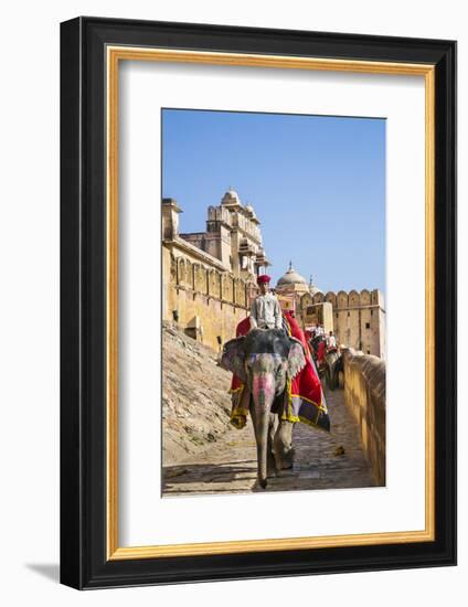 India, Rajasthan, Jaipur-Nigel Pavitt-Framed Photographic Print