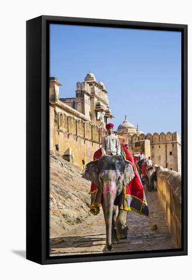 India, Rajasthan, Jaipur-Nigel Pavitt-Framed Premier Image Canvas