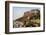 India, Rajasthan, Jodhpur. Mehrangarh Fort (built circa 1460 on National Geological Monument, part -Alison Jones-Framed Photographic Print