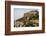 India, Rajasthan, Jodhpur. Mehrangarh Fort (built circa 1460 on National Geological Monument, part -Alison Jones-Framed Photographic Print