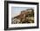 India, Rajasthan, Jodhpur. Mehrangarh Fort (built circa 1460 on National Geological Monument, part -Alison Jones-Framed Photographic Print