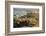 India, Rajasthan, Jodhpur. Mehrangarh Fort, view from tower of old city wall and houses beyond pain-Alison Jones-Framed Photographic Print