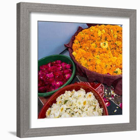 India, Rajasthan, Pipar. vendor making necklaces of marigolds and roses-Alison Jones-Framed Photographic Print