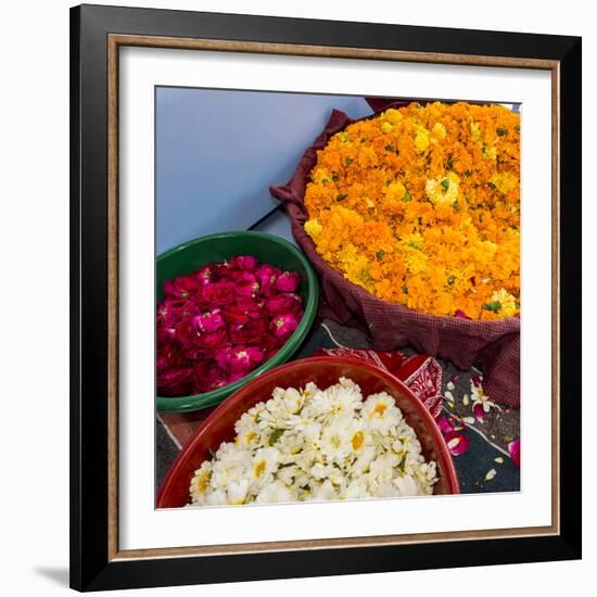 India, Rajasthan, Pipar. vendor making necklaces of marigolds and roses-Alison Jones-Framed Photographic Print