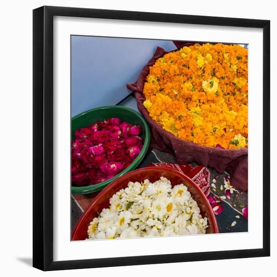 India, Rajasthan, Pipar. vendor making necklaces of marigolds and roses-Alison Jones-Framed Photographic Print