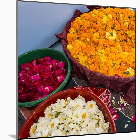 India, Rajasthan, Pipar. vendor making necklaces of marigolds and roses-Alison Jones-Mounted Photographic Print