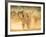 India, Rajasthan, Pushkar, Camel Herders Arriving at Pushkar Camel Fair-Jane Sweeney-Framed Photographic Print