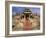 India, Rajasthan, Ranakpur, a Couple Descend Steps at the Famous Chaumukha Mandir, an Elaborately S-Amar Grover-Framed Photographic Print