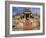 India, Rajasthan, Ranakpur, a Couple Descend Steps at the Famous Chaumukha Mandir, an Elaborately S-Amar Grover-Framed Photographic Print