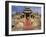 India, Rajasthan, Ranakpur, a Couple Descend Steps at the Famous Chaumukha Mandir, an Elaborately S-Amar Grover-Framed Photographic Print