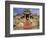 India, Rajasthan, Ranakpur, a Couple Descend Steps at the Famous Chaumukha Mandir, an Elaborately S-Amar Grover-Framed Photographic Print