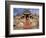 India, Rajasthan, Ranakpur, a Couple Descend Steps at the Famous Chaumukha Mandir, an Elaborately S-Amar Grover-Framed Photographic Print