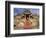 India, Rajasthan, Ranakpur, a Couple Descend Steps at the Famous Chaumukha Mandir, an Elaborately S-Amar Grover-Framed Photographic Print