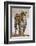 India, Rajasthan, Ranthambhore. a Female Bengal Tiger.-Nigel Pavitt-Framed Photographic Print