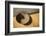India, Rajasthan. Traditional bowl close-up.-Jaynes Gallery-Framed Photographic Print