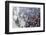 India, Sonepur, Devout Pilgrims Bathing in the Ganges River on Kartik Purnima-Ellen Clark-Framed Photographic Print