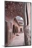 India, Uttar Pradesh, Agra. the Mosque's Arches-Emily Wilson-Mounted Photographic Print