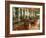 India, West Bengal, Darjeeling-Amar Grover-Framed Photographic Print