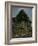 India-Eliot Elisofon-Framed Photographic Print