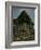 India-Eliot Elisofon-Framed Photographic Print