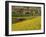 India-WizData-Framed Photographic Print