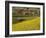 India-WizData-Framed Photographic Print