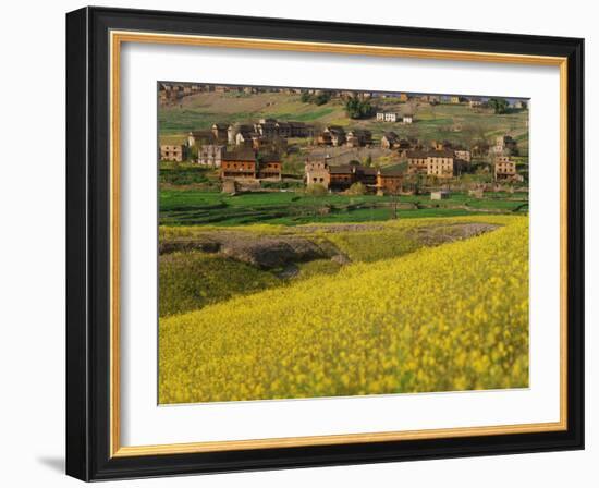 India-WizData-Framed Photographic Print