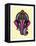 India-Mark Ashkenazi-Framed Premier Image Canvas