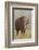 Indian Asian Elephant Feeding, Corbett National Park, India-Jagdeep Rajput-Framed Photographic Print