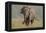 Indian Asian Elephant, Tusker, Feeding, Corbett National Park, India-Jagdeep Rajput-Framed Premier Image Canvas