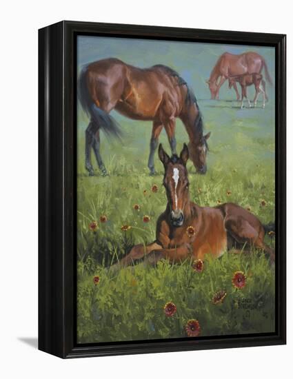 Indian Blanket-Jack Sorenson-Framed Stretched Canvas