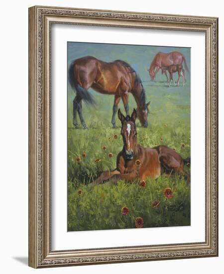 Indian Blanket-Jack Sorenson-Framed Art Print