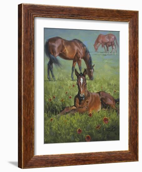 Indian Blanket-Jack Sorenson-Framed Art Print