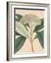 Indian Botanicals II-Nathaniel Wallich-Framed Art Print