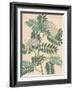 Indian Botanicals III-Nathaniel Wallich-Framed Art Print