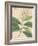 Indian Botanicals IV-Nathaniel Wallich-Framed Art Print