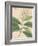 Indian Botanicals IV-Nathaniel Wallich-Framed Art Print