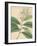 Indian Botanicals IV-Nathaniel Wallich-Framed Art Print