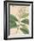 Indian Botanicals IV-Nathaniel Wallich-Framed Art Print