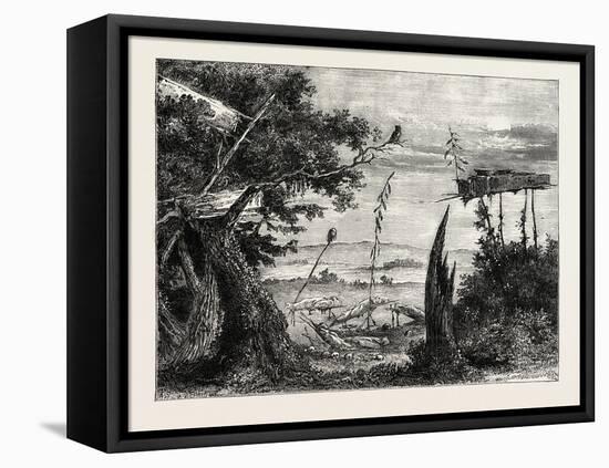 Indian Burial-Ground on the Mississippi, USA, 1870S-null-Framed Premier Image Canvas