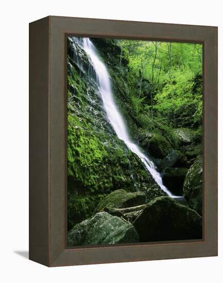 Indian Canyon, Buffalo National River, Arkansas, USA-Charles Gurche-Framed Premier Image Canvas